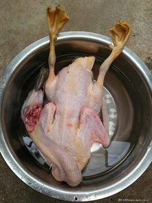 做鸭货的鸭子爆料视频大全 第1张 做鸭货的鸭子爆料视频大全 第1张